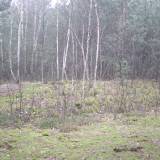 rejon_czarnego_blotka_wal_od_poludniowego_wschodu.jpg