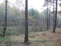 miejsca:1914:lodzkie:wola_szydlowska:2011-10-25:img_3059.jpg