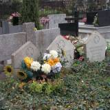 pa130146.jpg