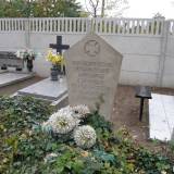 pa130147.jpg