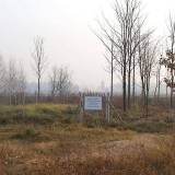 1041pr_bartniki_20071122.jpg