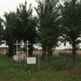 6485_bartniki_20110731.jpg