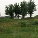 6491_bartniki_20110731.jpg