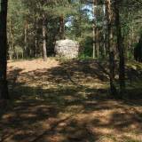 0498_dzbadzek_20090531.jpg