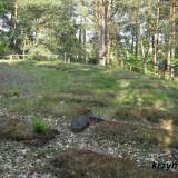 dzbadzek14.km002.jpg