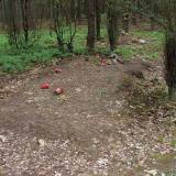 3623_komorowo_20080522.jpg