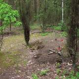 3625_komorowo_20080522.jpg