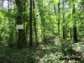 miejsca:1914:mazowieckie:korzen_kr:2024-05-17:korzen.kr14.km001.jpg