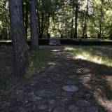 krasna.dabr14.tk003.jpg