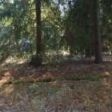 7404_macice_m_20120918.jpg