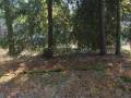 miejsca:1914:mazowieckie:macice:2012-09-18:7404_macice_m_20120918.jpg