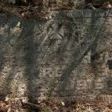7410_macice_m_20120918.jpg