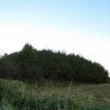img_1725.jpg