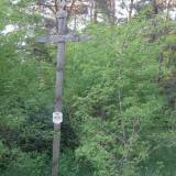 img_6161.jpg
