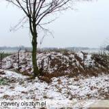 351_niedarzyn_20051203.jpg