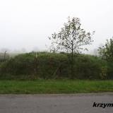 Niedarzyn. Mogiła zbiorowa.