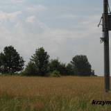 n.miasto.folw001.jpg