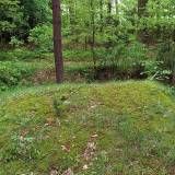 3649_ochudno_20080522.jpg