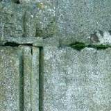 082a_opaleniec.jpg