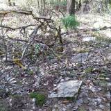 20160416_141801.jpg