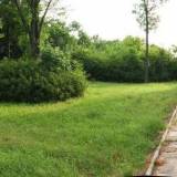 546pr_opinogora_20060720.jpg