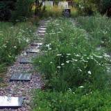 8168_opinogora_20140810.jpg