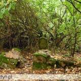 034_pienpole_cmentarz.jpg