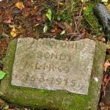 038_pienpole_cmentarz.jpg