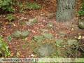 miejsca:1914:mazowieckie:pienpole:2004-08-22:042_pienpole_cmentarz.jpg