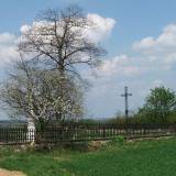 2727pr_pszczolki_gorne_20080427.jpg