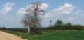 miejsca:1914:mazowieckie:pszczolki_gorne:2008-04-27:2727pr_pszczolki_gorne_20080427.jpg