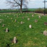 2734_pszczolki_gorne_20080427.jpg