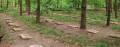 miejsca:1914:mazowieckie:radzanowek:2008-05-18:3545p_radzanow_20080518.jpg