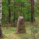 3548_radzanow_20080518.jpg