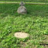 stupsk14.km002.jpg