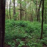 3607_wielatki_folwark_20070522.jpg