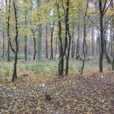 img_3941.jpg