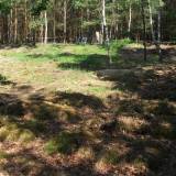 0490_wolka_kuninska_20090531.jpg