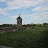 biezdziadka14.gryzley002.jpg