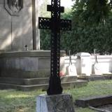 brzostek223.gryzley006.jpg