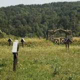 grab4.gryzley008.jpg