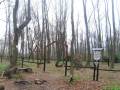 miejsca:1914:podkarpackie:kamien_nad_jasliskami:2008-04-28:img_3560.jpg