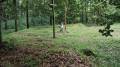 miejsca:1914:podkarpackie:nowiny_horynieckie:2011-06-27:p6279814.jpg