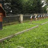 warzyce14.gryzley007.jpg
