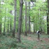 img_4362.jpg
