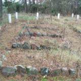 orlikowo_dscf0155.jpg
