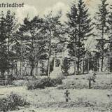 herzogsrode01.jpg