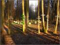 miejsca:1914:rosja:obwod_kaliningradzki:sowchoznoje:2011-12-10:mattischkehmen03.jpeg
