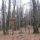 img_3575.jpg