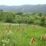 img_2482.jpg